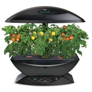AeroGarden Tomatoes AeroGarden Tomatoes