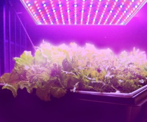 LED Grow Light Panel