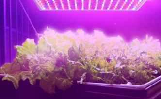 LED Grow Light Panel