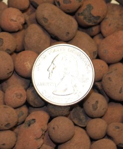 Hydroton Clay Pebbles