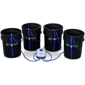 Power Grow DWC 4 Bucket