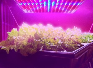 HQRP QUAD LED Grow Light