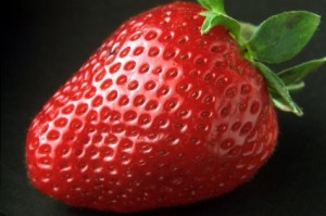 Hydroponic Nutrients For Strawberries