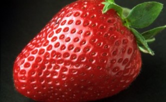 Hydroponic Nutrients For Strawberries