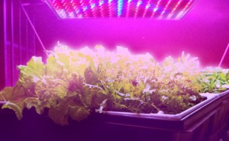 HQRP QUAD LED Grow Light